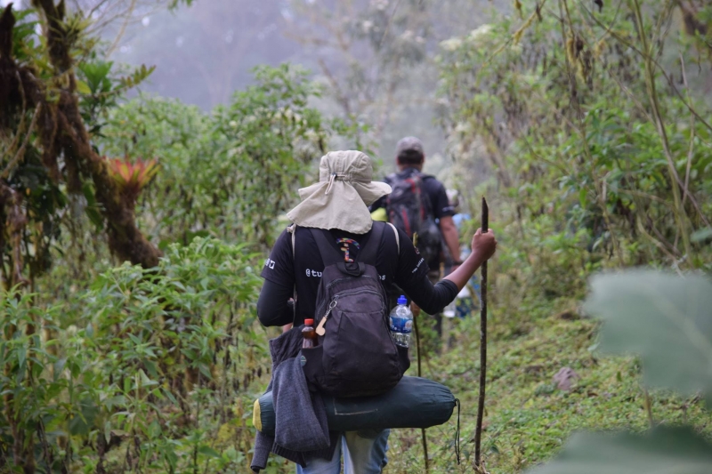Camino Real del Inca